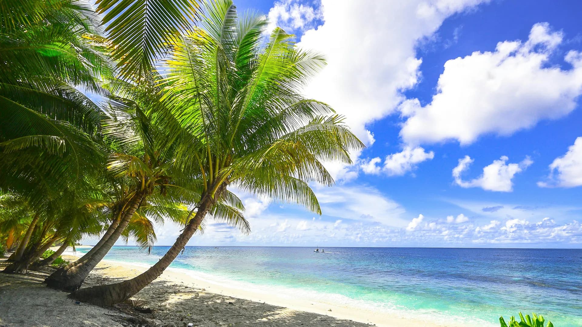 Frühbucher Pauschalreisen 2026: 8 Spartipps für deinen Traumurlaub