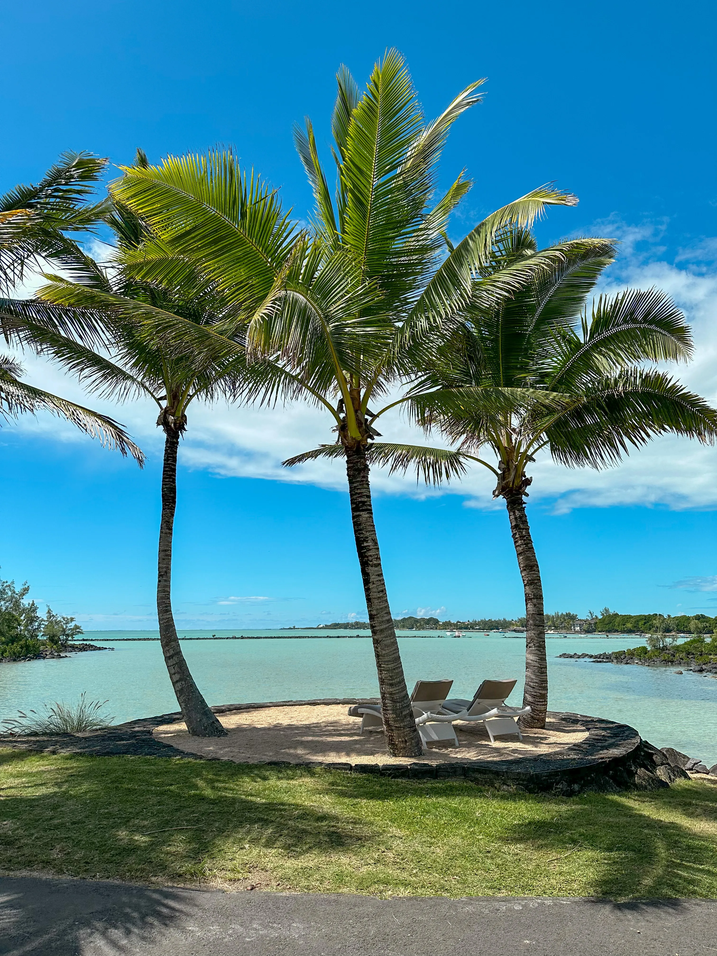 Events & Festivals Kategorie