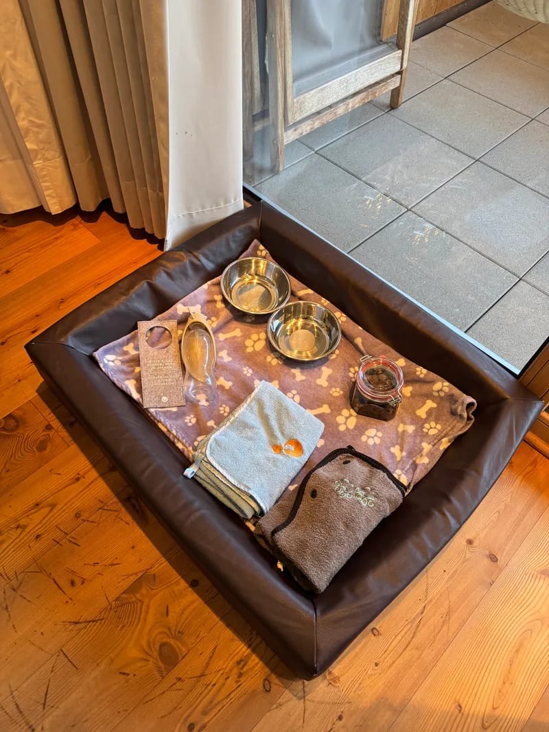 Hundebett mit Zubehör