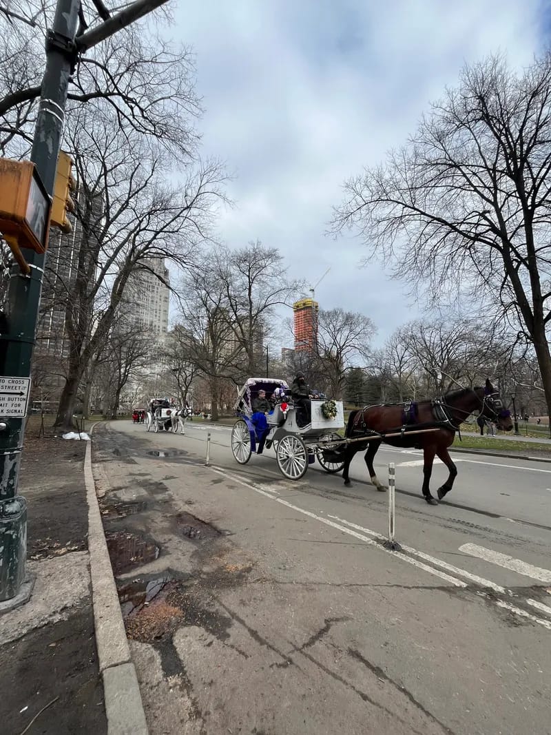 pferdekutschen-new-york-central-park