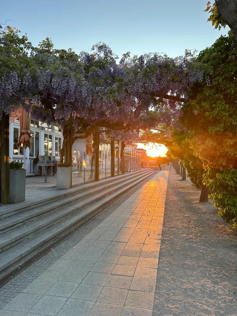 Kunst trifft Musik: Doppeltes Festivalhighlight auf Usedom im August 2025