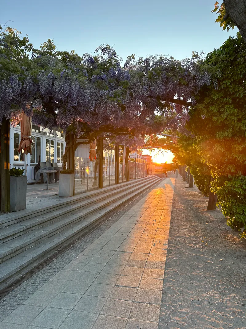 Kunst trifft Musik: Doppeltes Festivalhighlight auf Usedom im August 2025