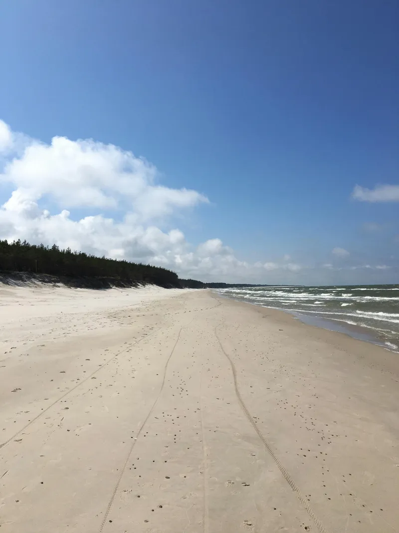 Fischland-Darß-Zingst Naturstrand an der Ostsee