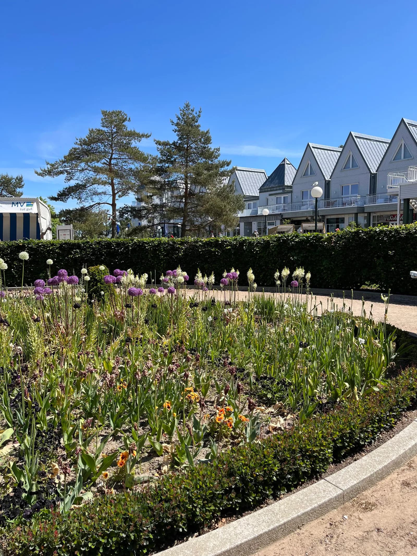 Vineta Festspiele 2025: Mythische Saga auf der OstseebĂĽhne Zinnowitz